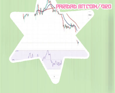 Bitcoin dolar chart