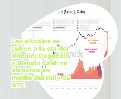Btc yearly chart