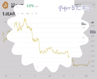Precio 1 btc