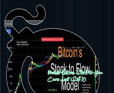 S2f model btc
