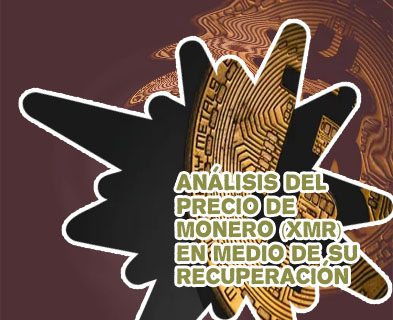 Xmr criptomoneda